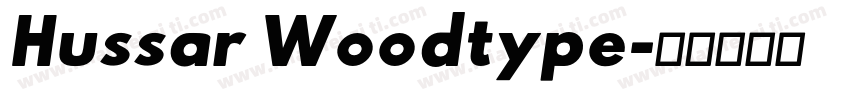 Hussar Woodtype字体转换